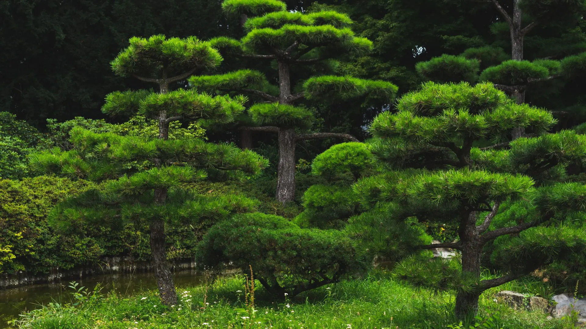 Basenfasten Seminar Workshop Krefeld Anna Schwenke Heilpraktikerin Krefeld Akupunktur Massagen Ernährung Abnehmen Rückenschmerkzen Naturheilpraxis